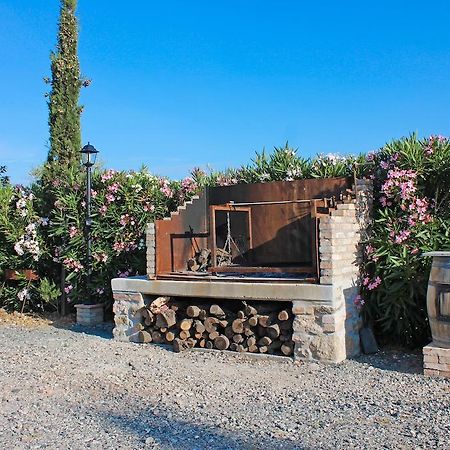 Agriturismo Ferruggini Bolgheri Exterior photo