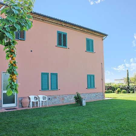 Agriturismo Ferruggini Bolgheri Exterior photo