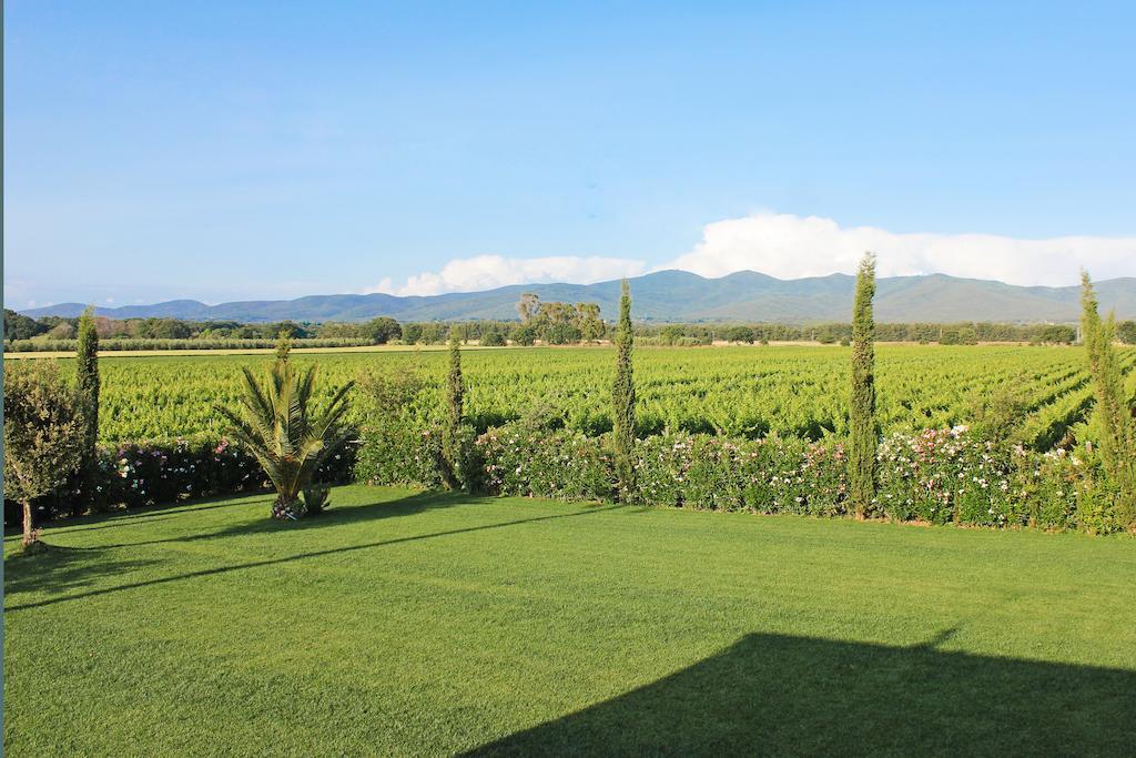 Agriturismo Ferruggini Bolgheri Exterior photo