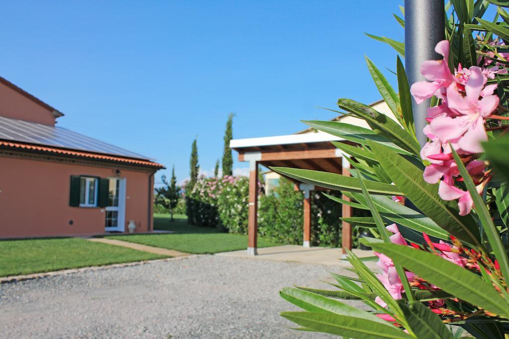 Agriturismo Ferruggini Bolgheri Exterior photo
